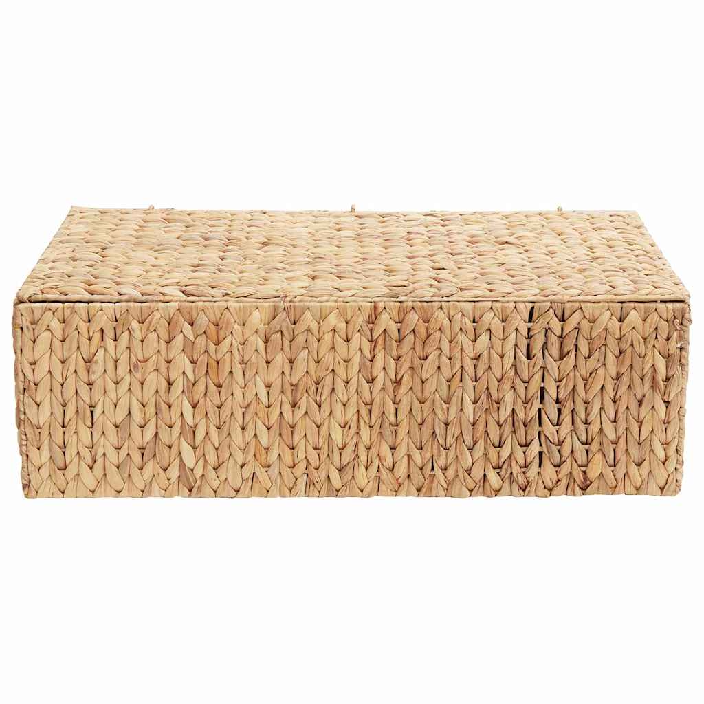 vidaXL Κουτί αποθήκευσης Φυσικό 60 x 38 x 20 εκ Υάκινθος νερού