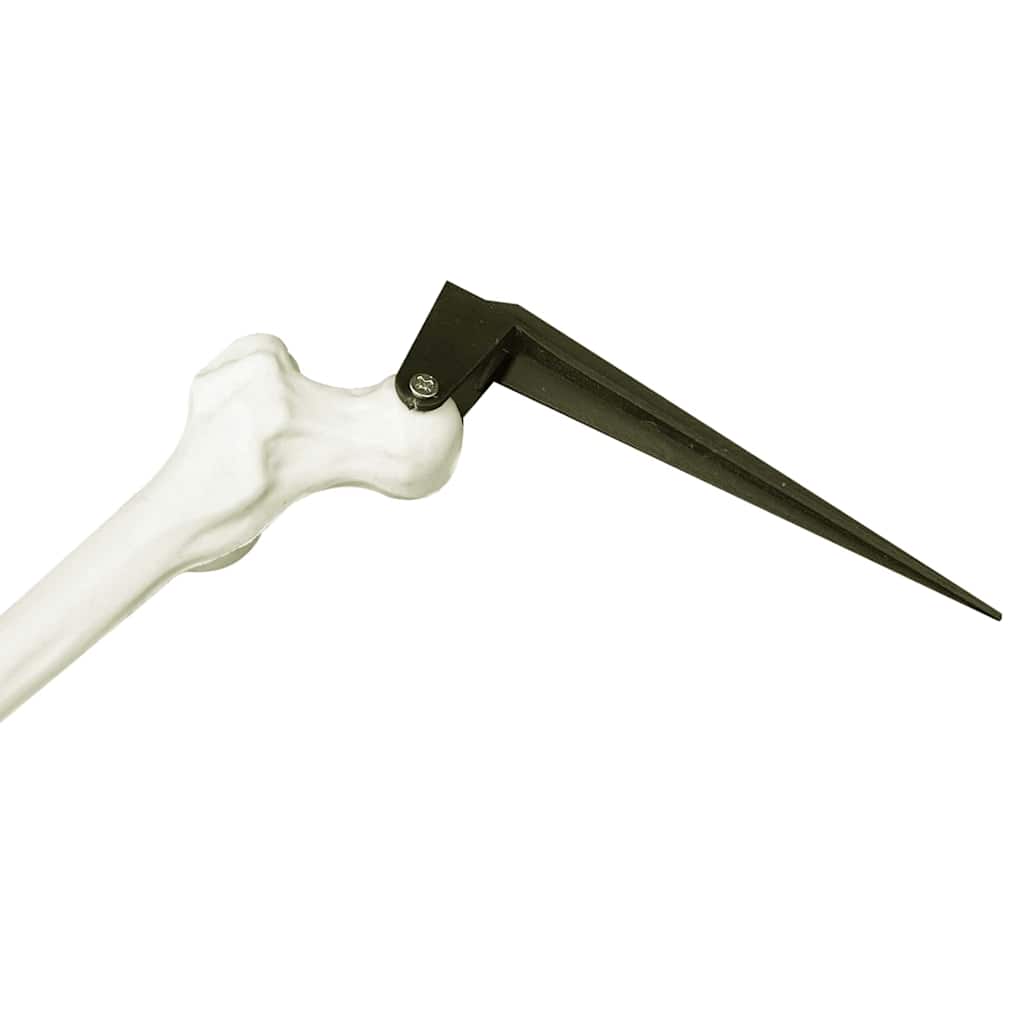 vidaXL Σκελετός Halloween Λευκό 20 x 10 x 9,5 cm Πλαστικό