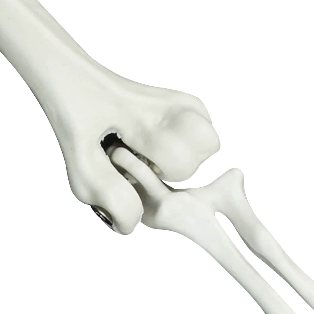 vidaXL Σκελετός Halloween Λευκό 20 x 10 x 9,5 cm Πλαστικό