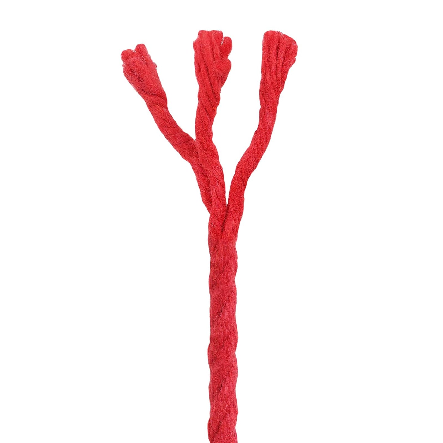 vidaXL Cotton Twine 2 τμχ. 2 mm 100 m Κόκκινο 100% Βαμβάκι