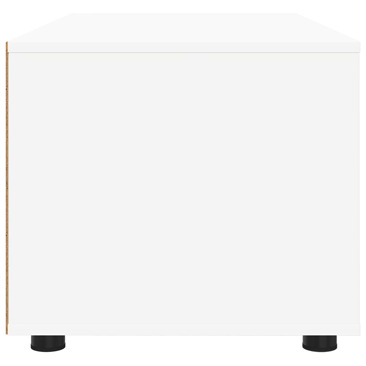 vidaXL Ντουλάπι TV Λευκό 100 x 48 x 43 εκ. Επεξεργασμένο ξύλο