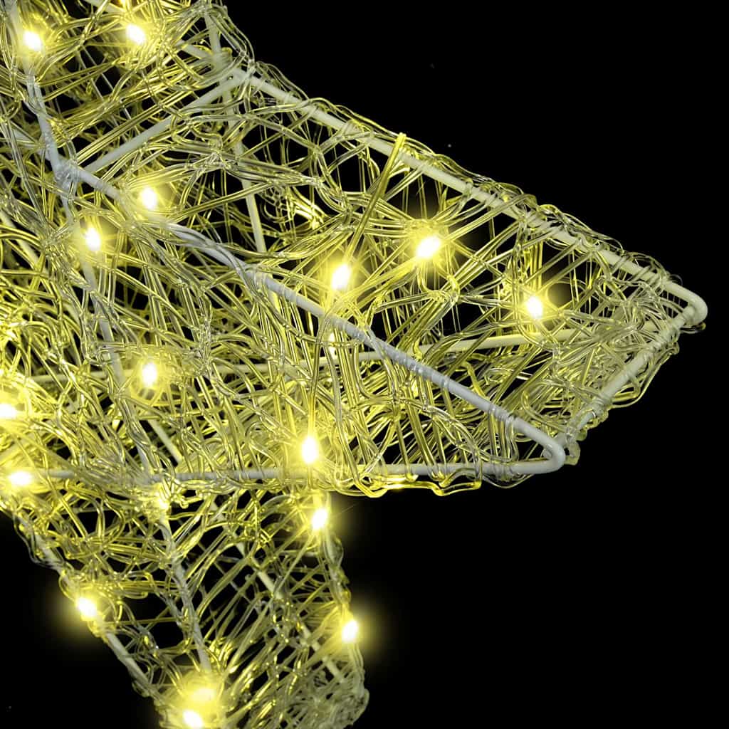 vidaXL 3D Αστέρι με 50 LED Θερμό λευκό 55 x 53.5 x 10 εκ Ακρυλικό