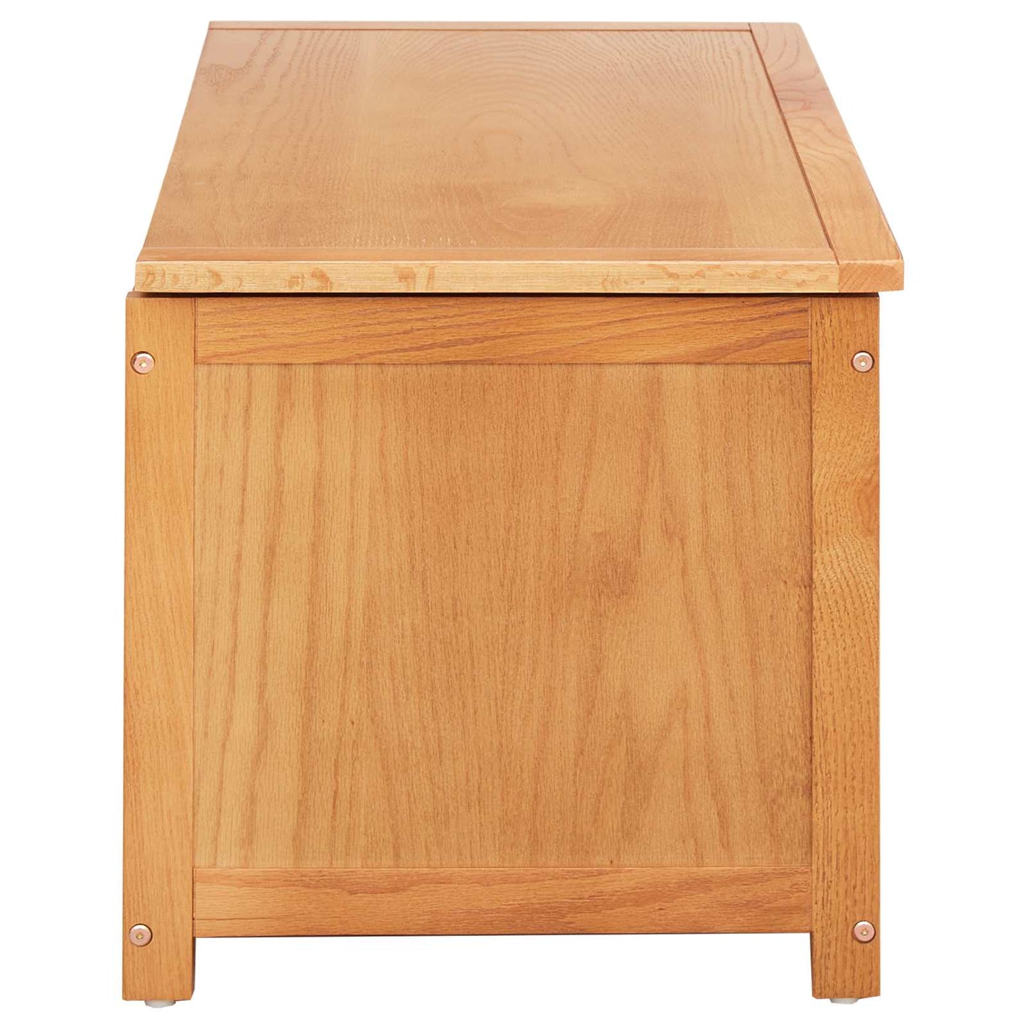 vidaXL Κουτί αποθήκευσης Μονόχρωμο