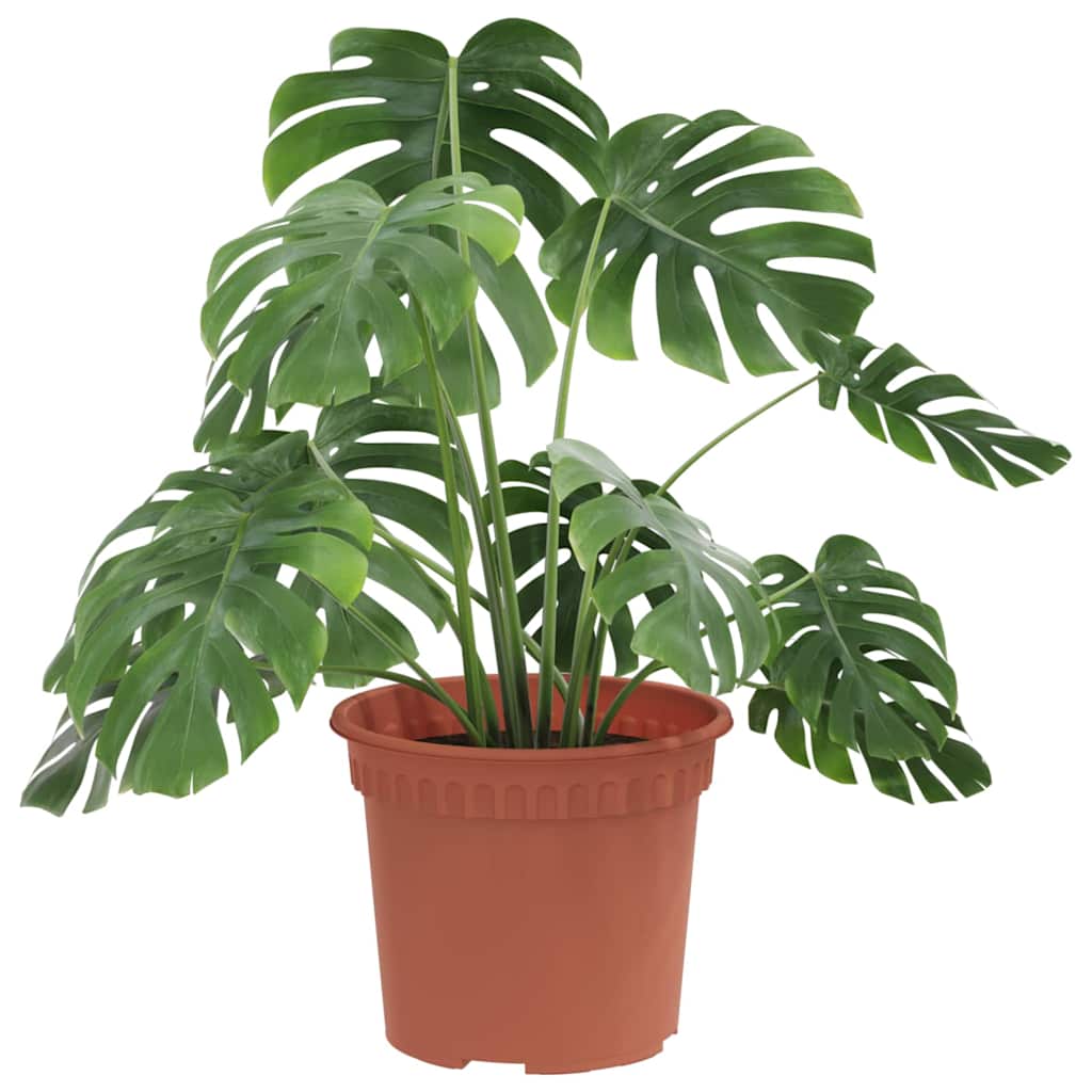 vidaXL Στρογγυλή Γλάστρα Λουλουδιών 24 pcs Κεραμιδί Ø 12,5 x 10 εκ