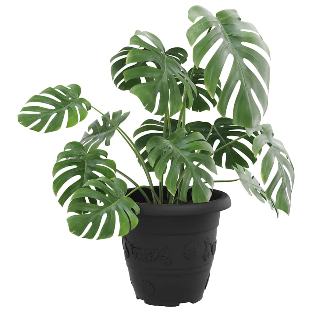 vidaXL Στρογγυλή Γλάστρα Λουλουδιών 6 pcs Μαύρο Ø 26 x 21.5 εκ.