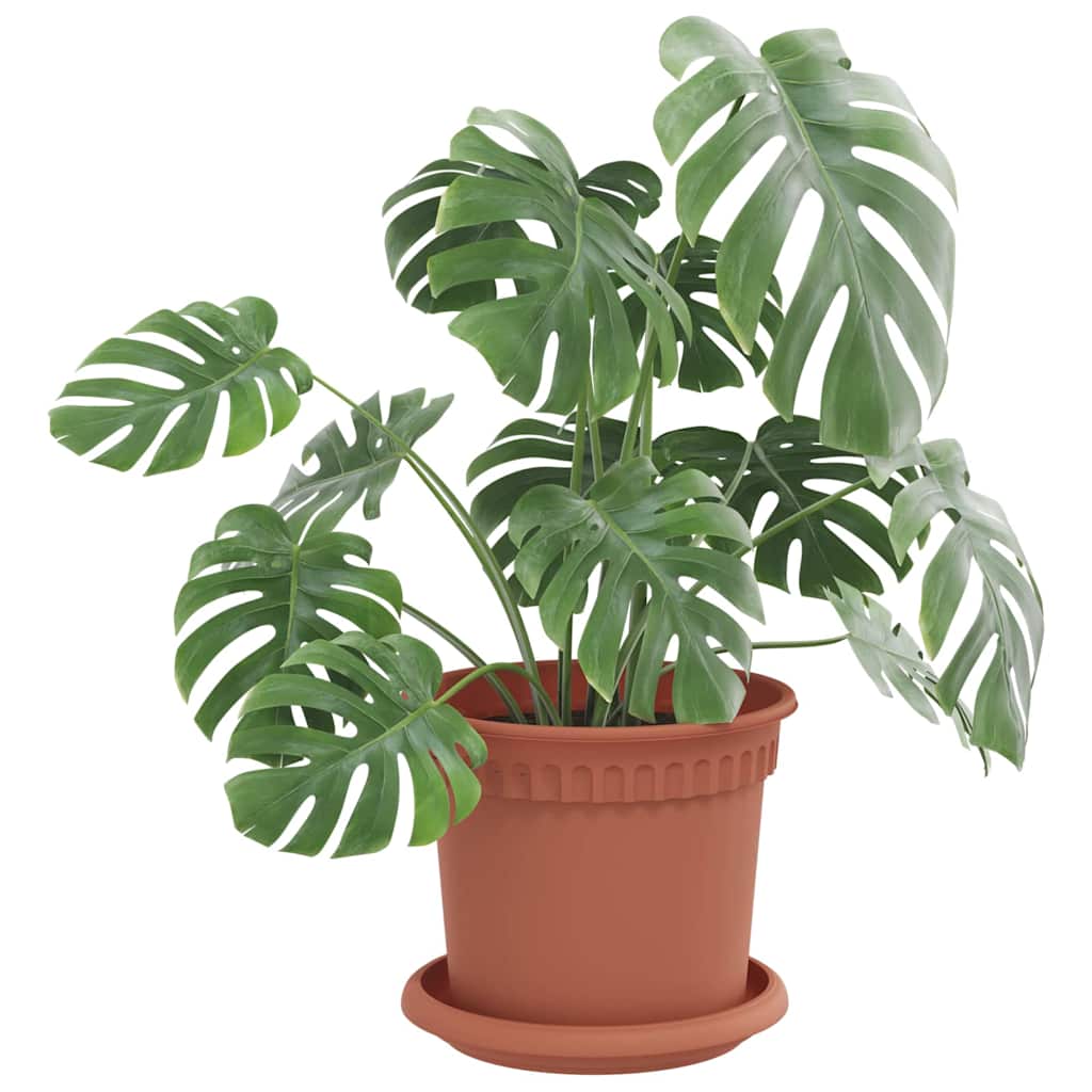 vidaXL Στρογγυλός Δίσκος Λουλουδιών 24 pcs Κεραμιδί Ø 14 x 2 εκ