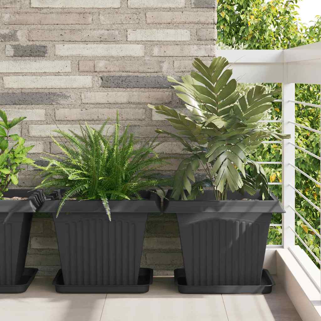 vidaXL Τετράγωνη Γλάστρα για Λουλούδια 6 pcs Μαύρο 43 x 43 x 33,5 εκ