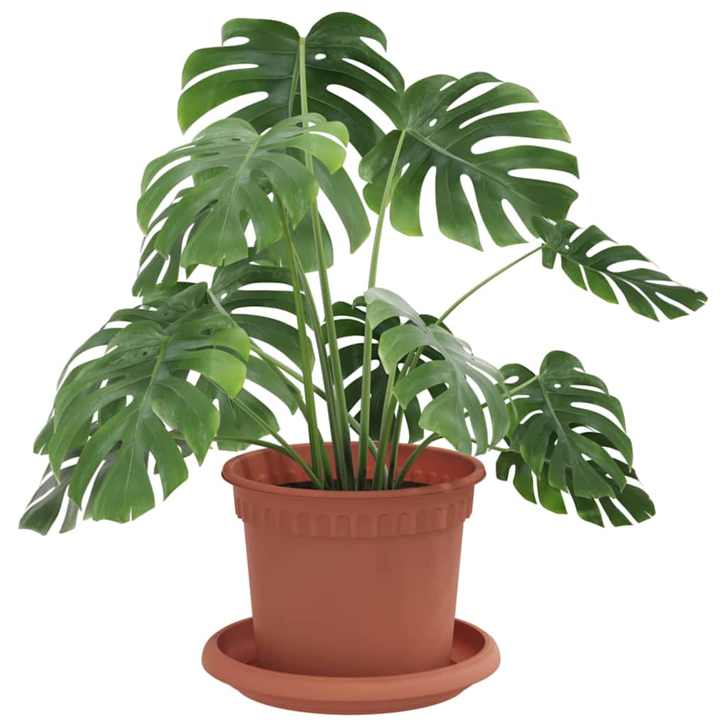 vidaXL Γλάστρες φυτών 24 pcs Κεραμιδί Ø 12,5 x 10 εκ Πλαστικό