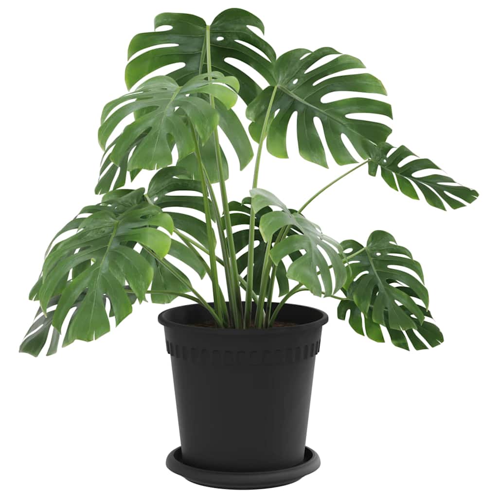 vidaXL Γλάστρες φυτών 24 pcs Μαύρο Ø 17 x 14 εκ Πλαστικό