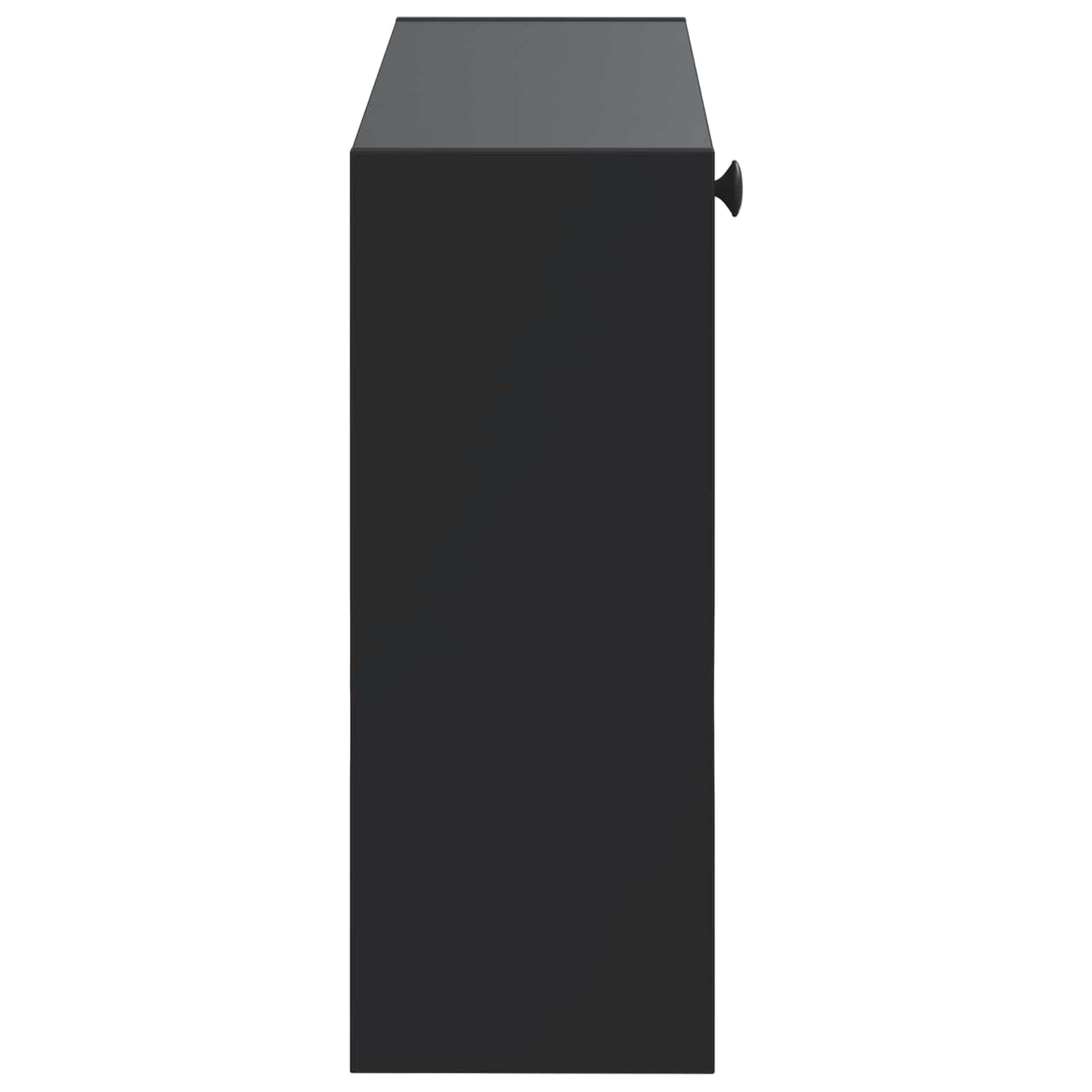 vidaXL Τοίχου Ντουλάπα Παπουτσιών EDE 71 x 17 x 43 εκ Μαύρο