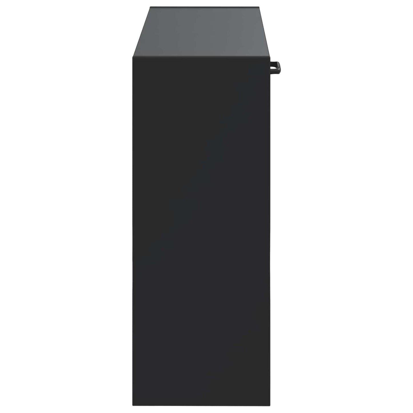 vidaXL Τοίχου Ντουλάπα Παπουτσιών HAARLEM 71 x 17 x 43 εκ Μαύρο