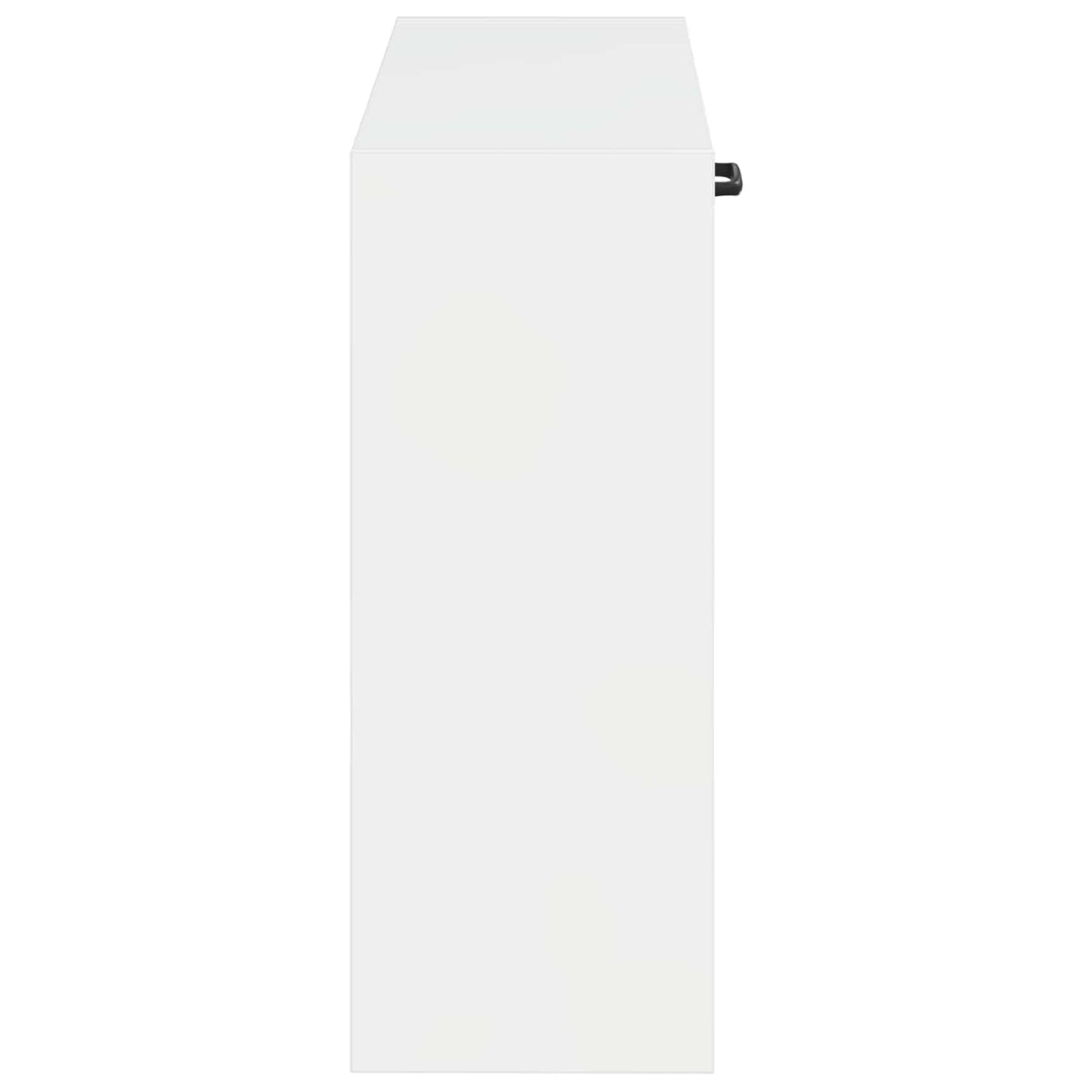 vidaXL Τοίχου Ντουλάπα Παπουτσιών HOORN 71 x 17 x 43 εκ