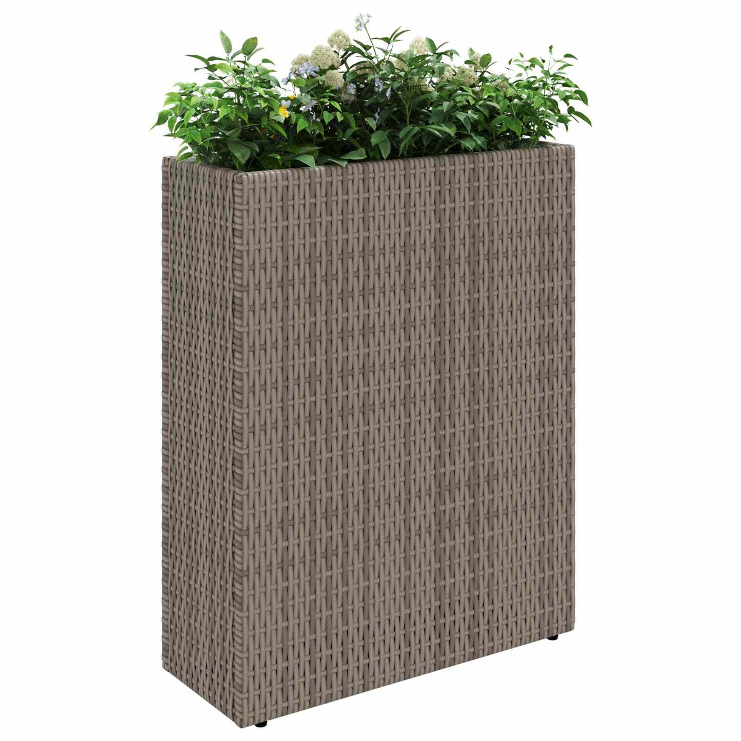 vidaXL Ψηλός γλάστρα 55 x 22 x 70 εκ Ναι