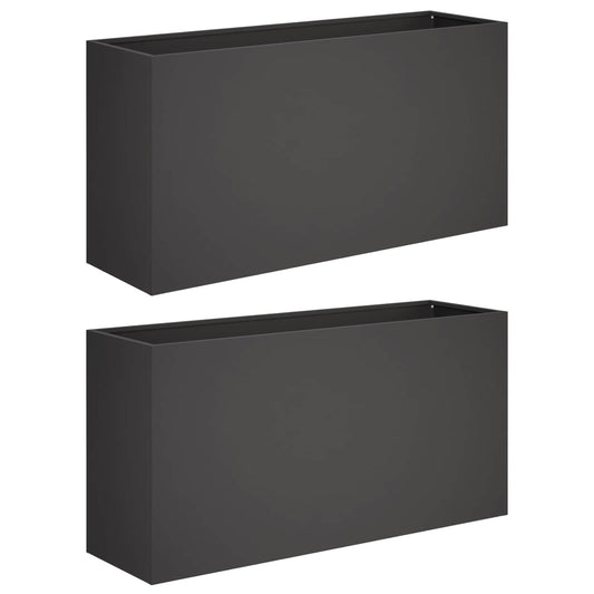 vidaXL Γλάστρα Κήπου 2 τμχ. Μαύρο 100 x 30 x 50 cm