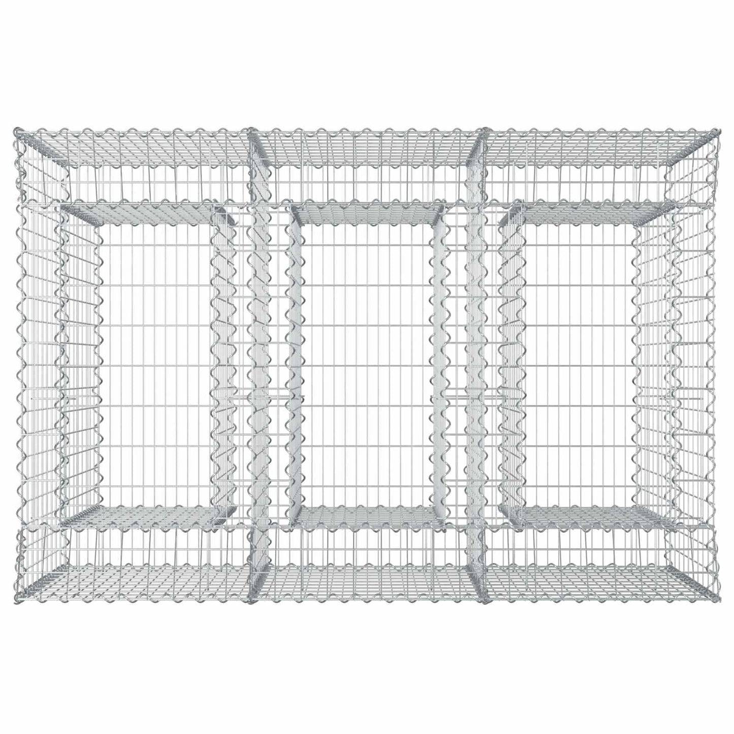 vidaXL Ανασηκωμένο κρεβάτι gabion 2 τμχ. 150 x 100 x 100 cm Ασημί