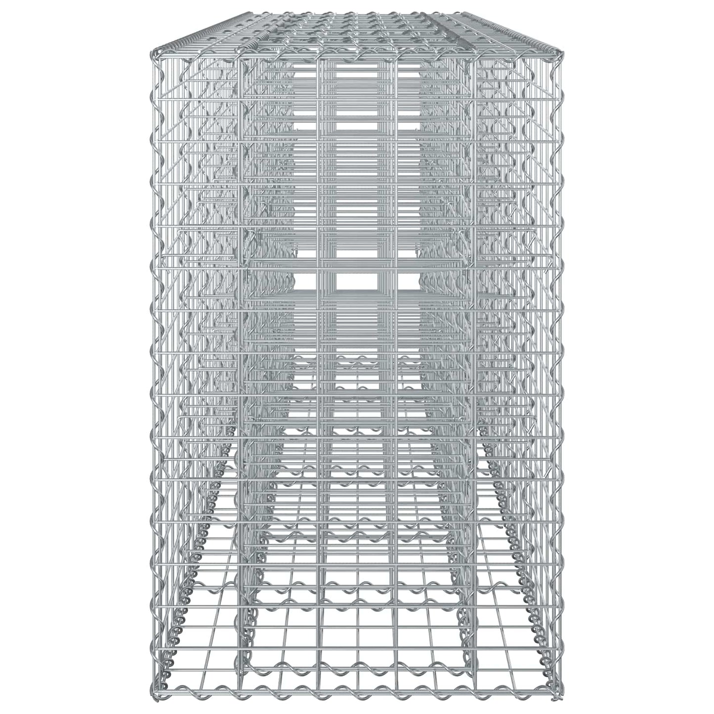 vidaXL Ανασηκωμένο κρεβάτι gabion 2 τμχ. 250 x 50 x 80 εκ Ασημί