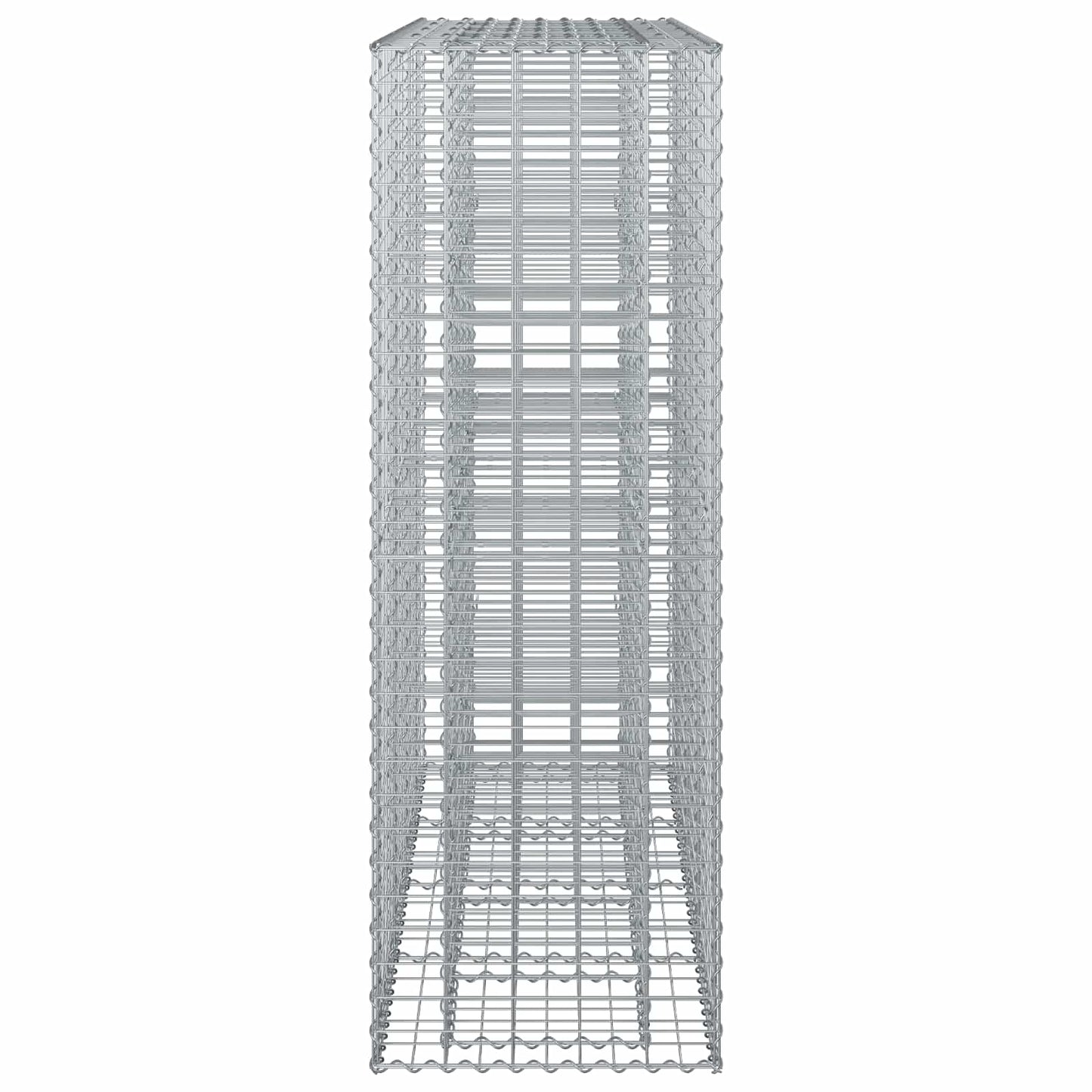 vidaXL Ανασηκωμένο κρεβάτι gabion 2 τμχ. 170 x 50 x 150 εκ Ασημί