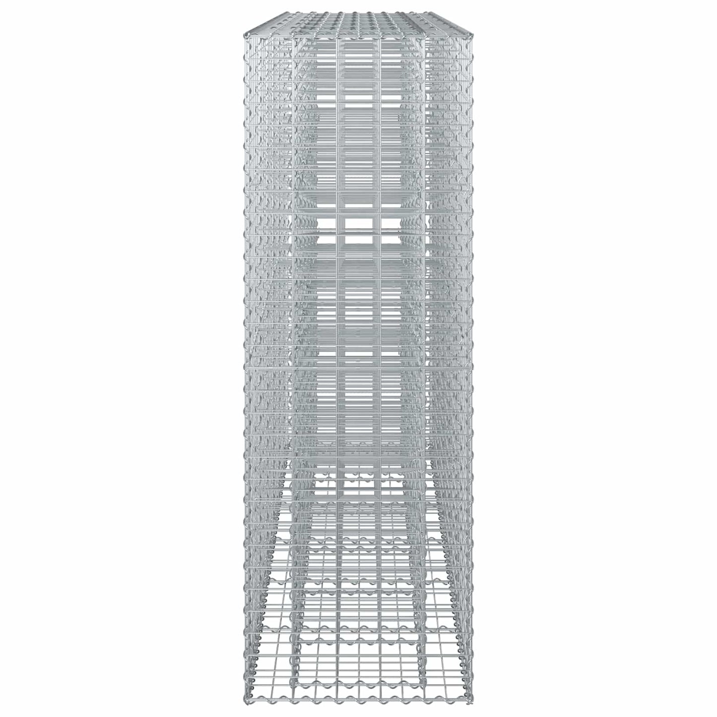 vidaXL Ανασηκωμένο κρεβάτι gabion 3 τμχ. 250 x 50 x 150 εκ Ασημί