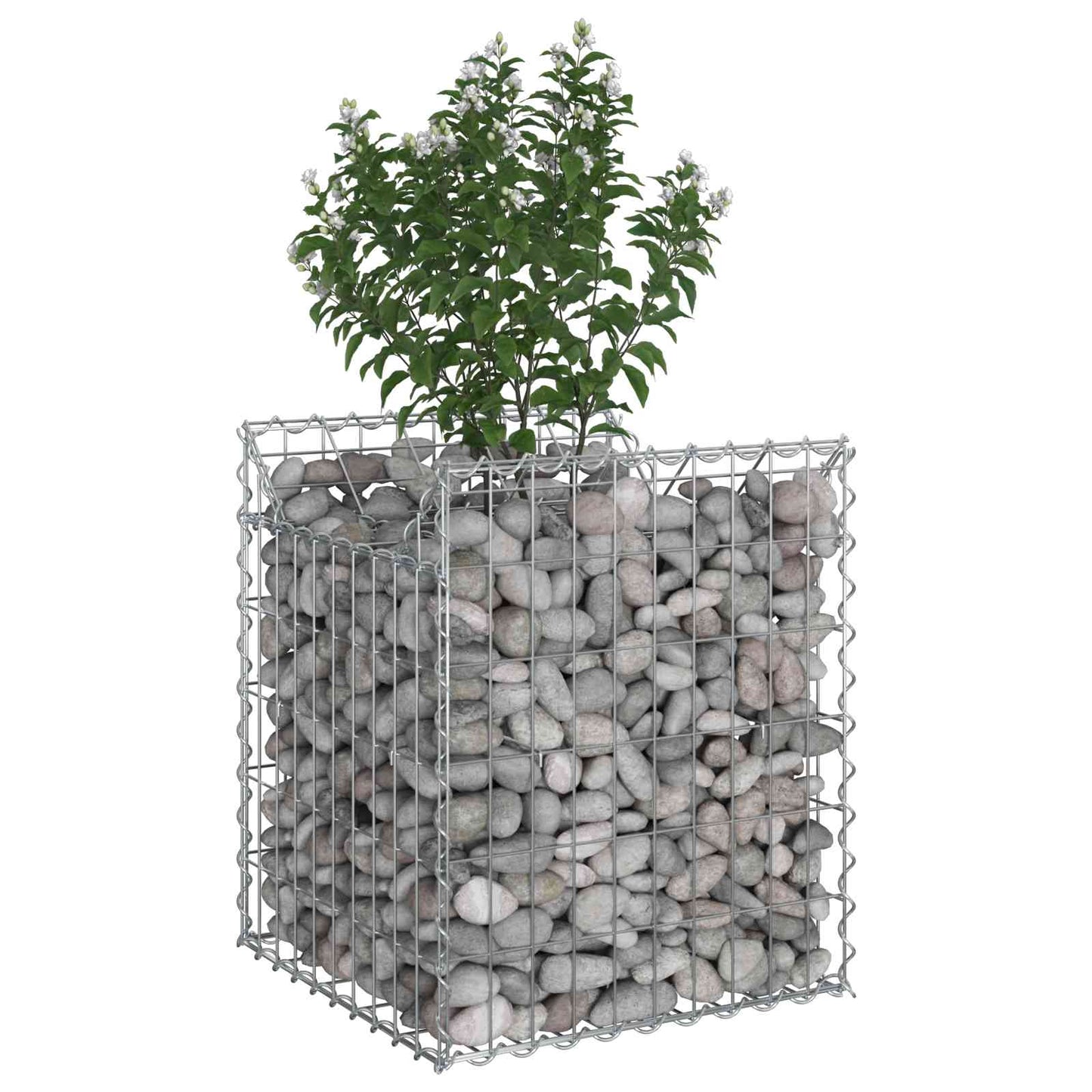 vidaXL Ανασηκωμένο κρεβάτι gabion Ασημί 50 x 50 x 60 cm