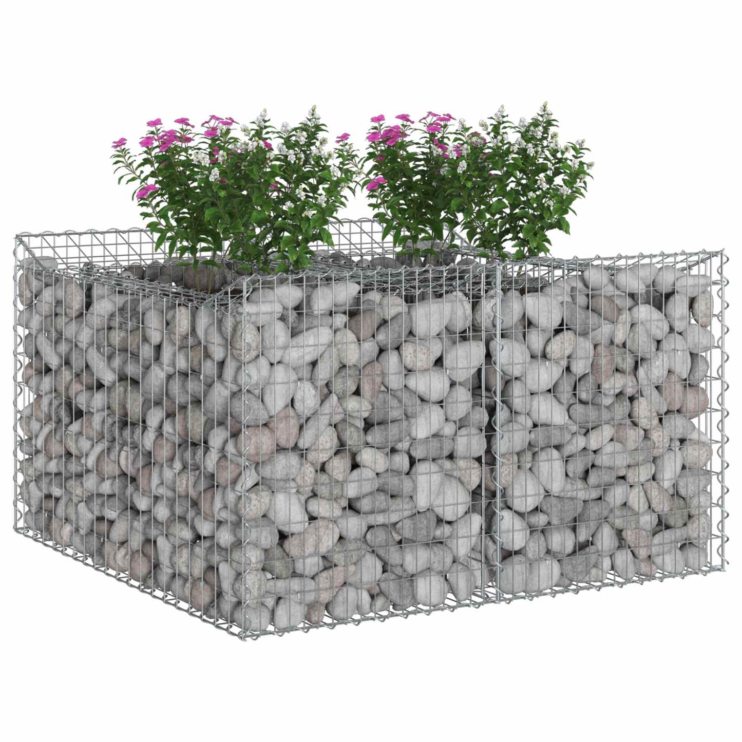 vidaXL Ανασηκωμένο κρεβάτι gabion Ασημί 100 x 100 x 60 εκ.