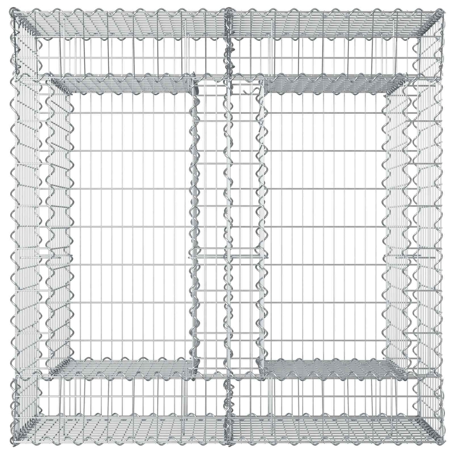 vidaXL Ανασηκωμένο κρεβάτι gabion Ασημί 100 x 100 x 60 εκ.