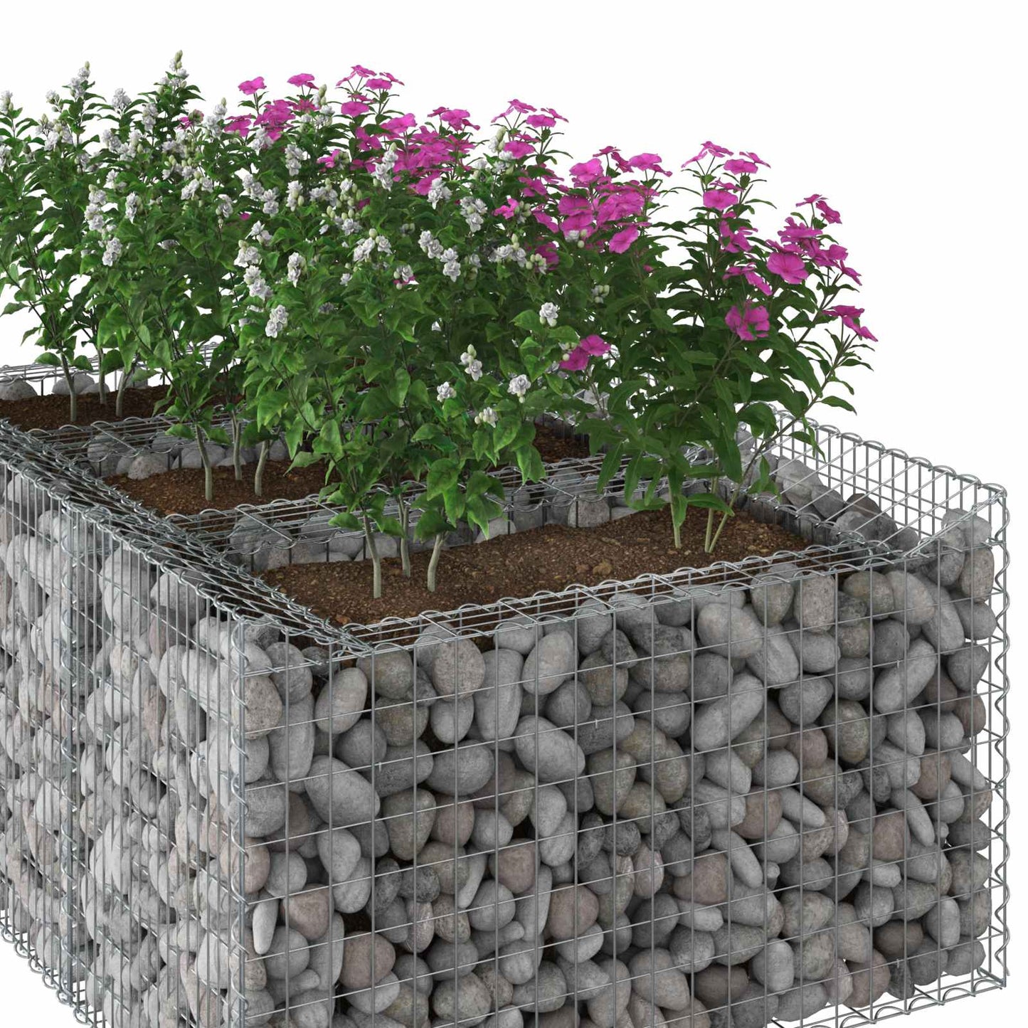 vidaXL Ανασηκωμένο κρεβάτι gabion Ασημί 150 x 100 x 60 εκ
