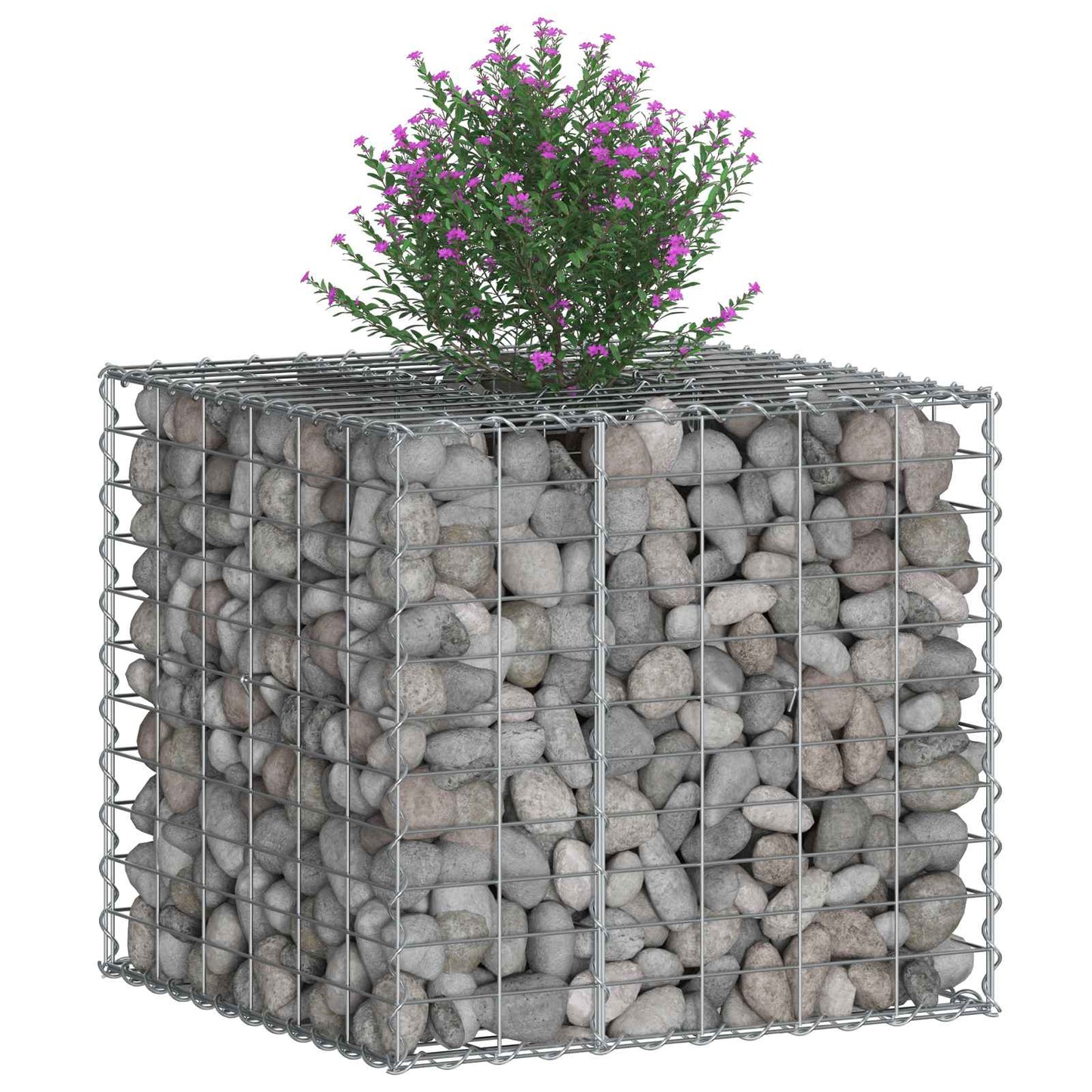 vidaXL Ανασηκωμένο κρεβάτι gabion Ασημί 60 x 60 x 55 εκ