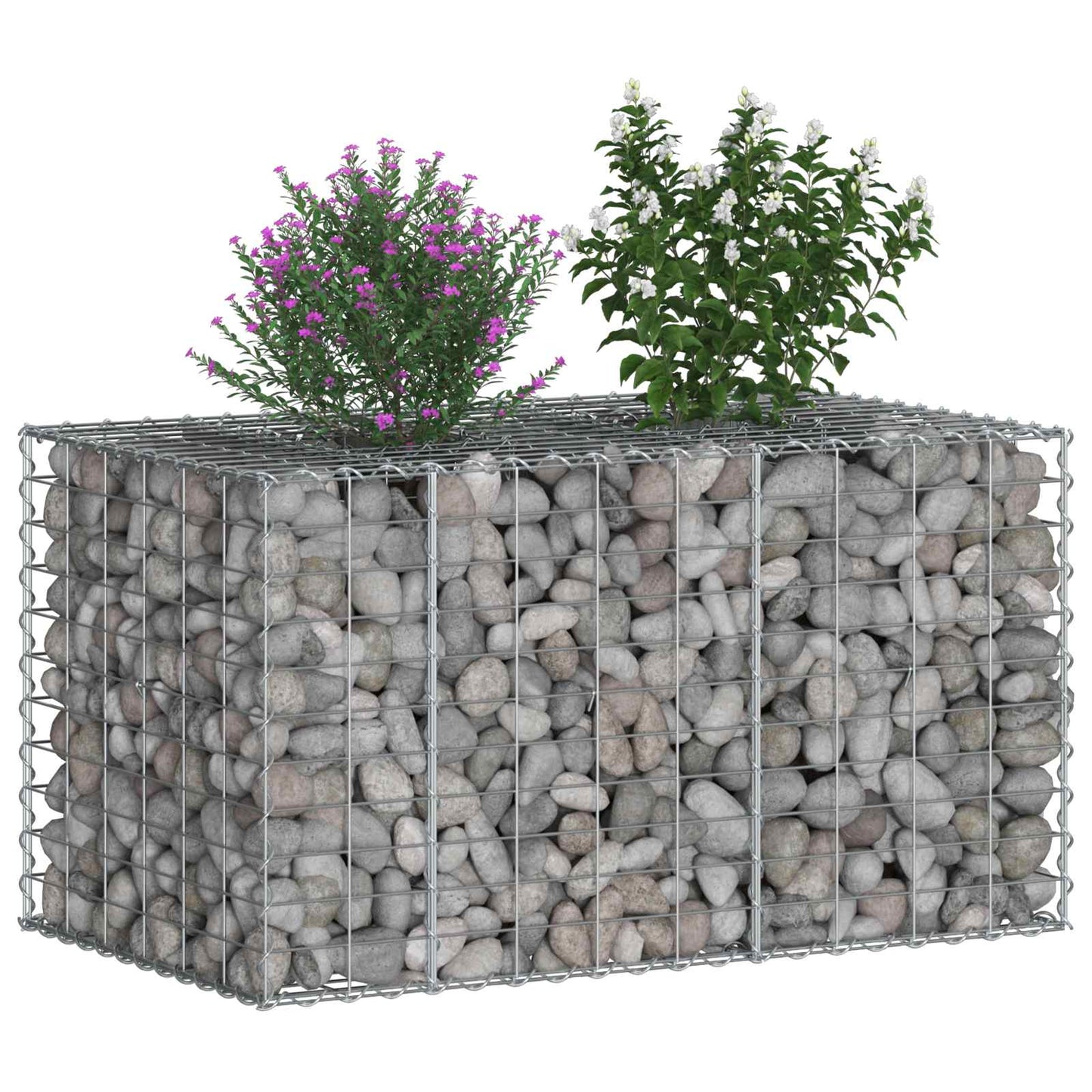 vidaXL Ανασηκωμένο κρεβάτι gabion Ασημί 100 x 60 x 55 εκ