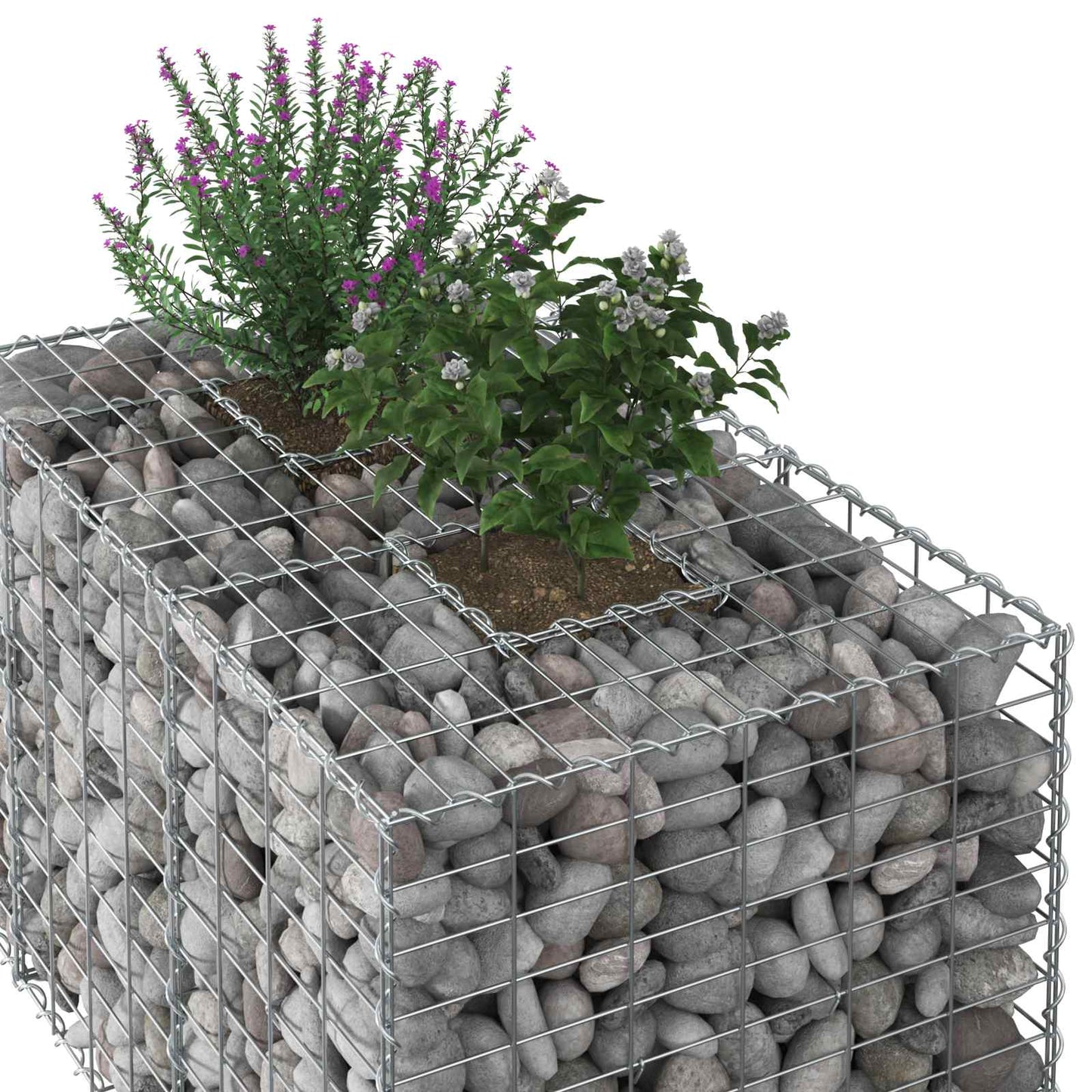 vidaXL Ανασηκωμένο κρεβάτι gabion Ασημί 100 x 60 x 55 εκ