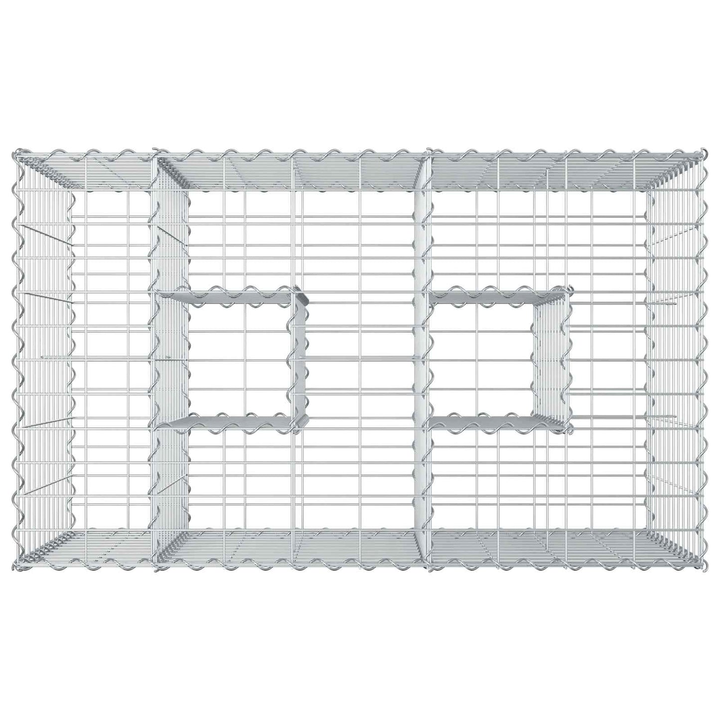 vidaXL Ανασηκωμένο κρεβάτι gabion Ασημί 100 x 60 x 55 εκ