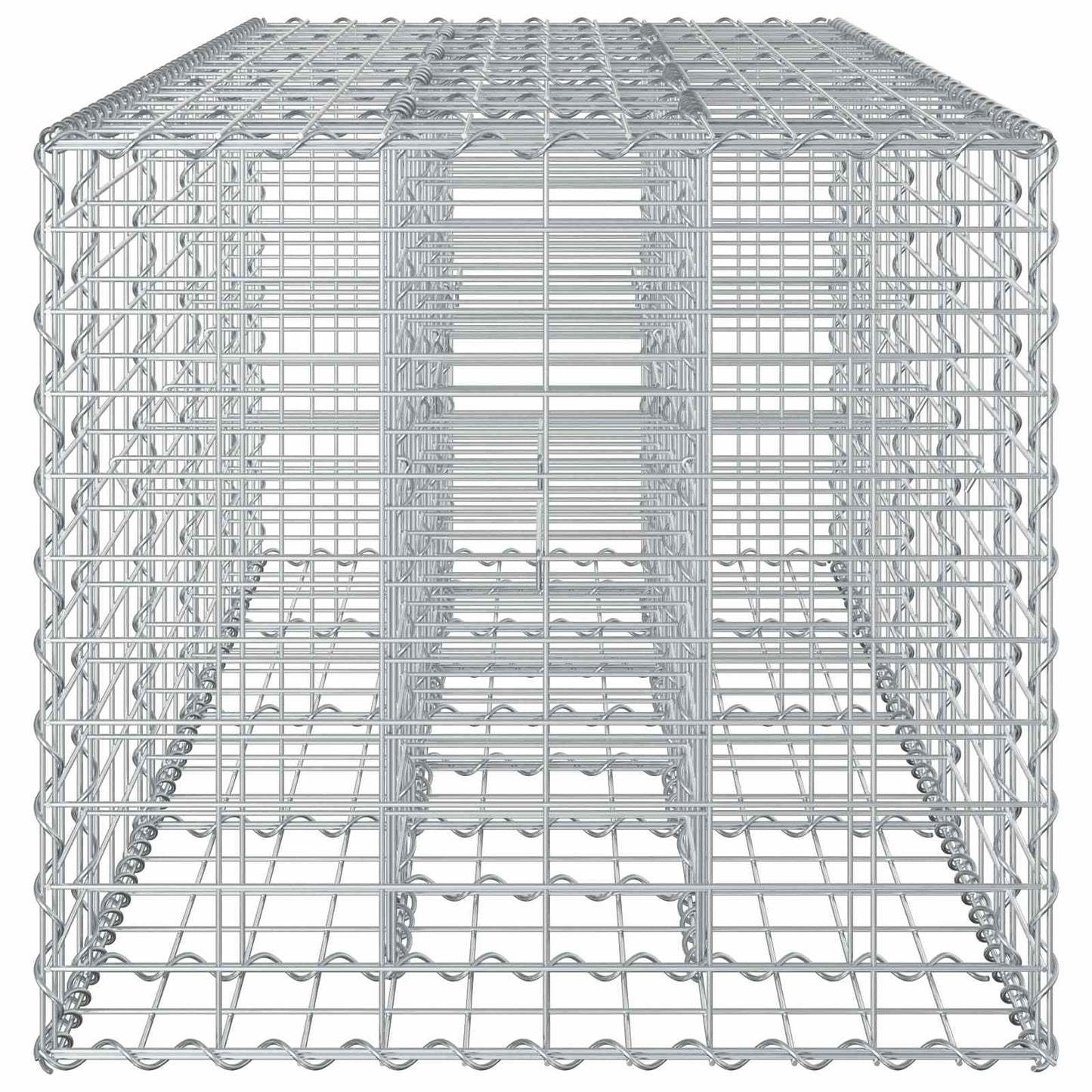 vidaXL Ανασηκωμένο κρεβάτι gabion Ασημί 180 x 60 x 55 εκ