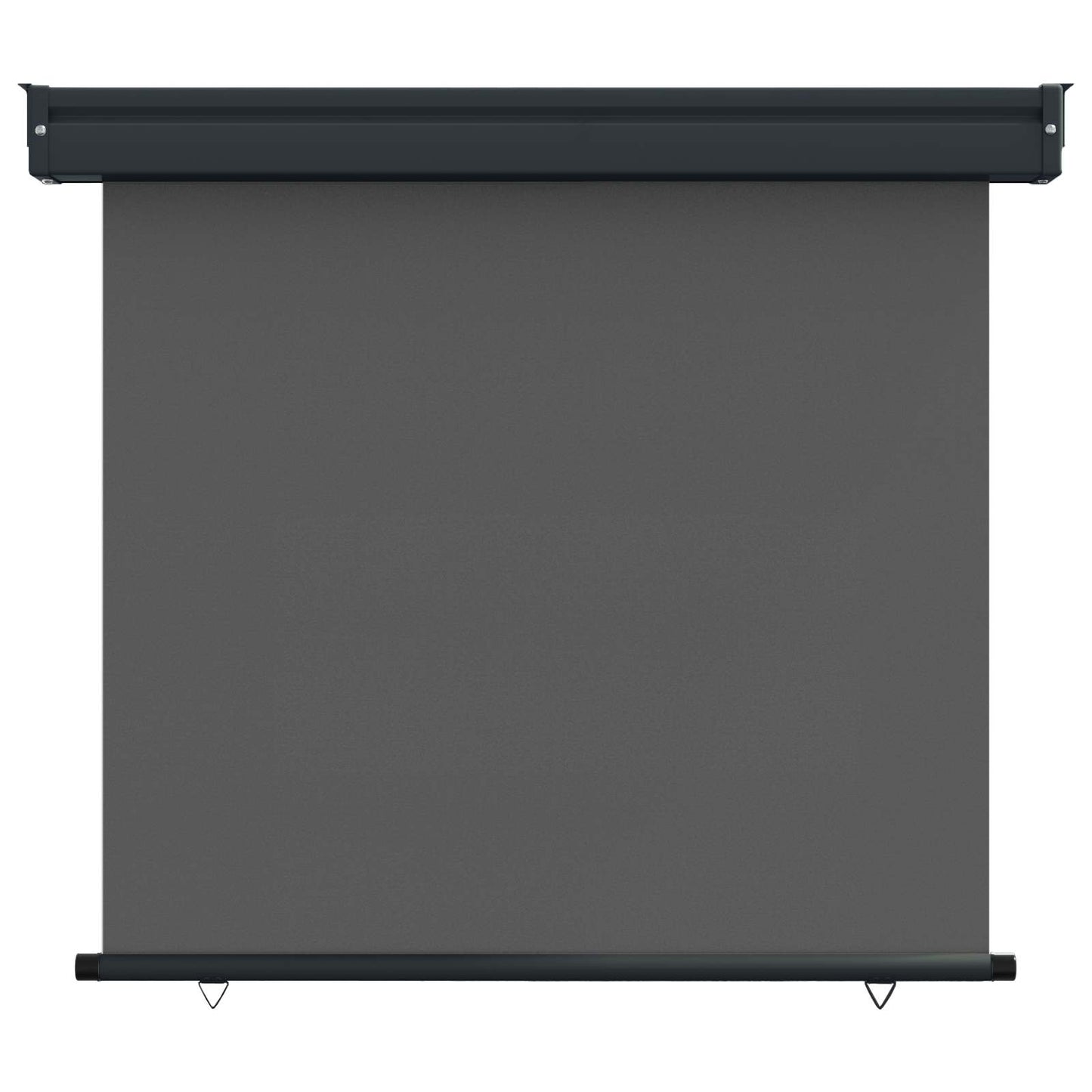 vidaXL Αυλούπα Πλευράς Μπαλκονιού 80 x 250 cm