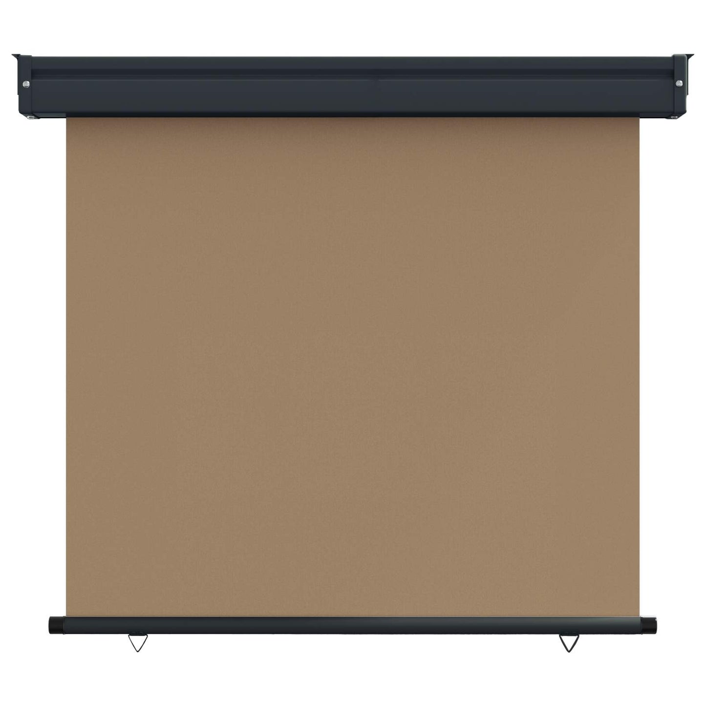 vidaXL Αυλούπα Πλευράς Μπαλκονιού 100 x 250 cm