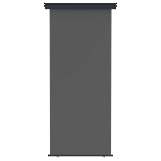 vidaXL Αυλούπα Πλευράς Μπαλκονιού 100 x 250 cm