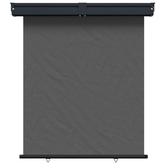 vidaXL Αυλούπα Πλευράς Μπαλκονιού 140 x 250 cm