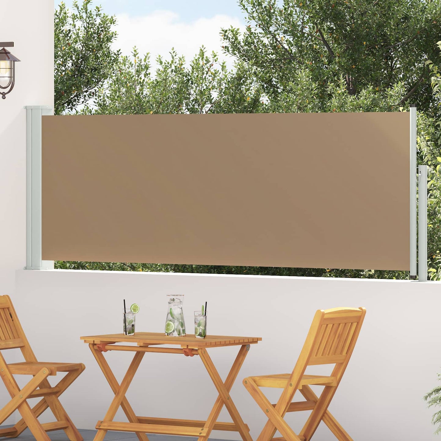 vidaXL Ανακλινόμενος Πλευρικός Απλώστρα 500 x 100 cm Πολυεστέρας
