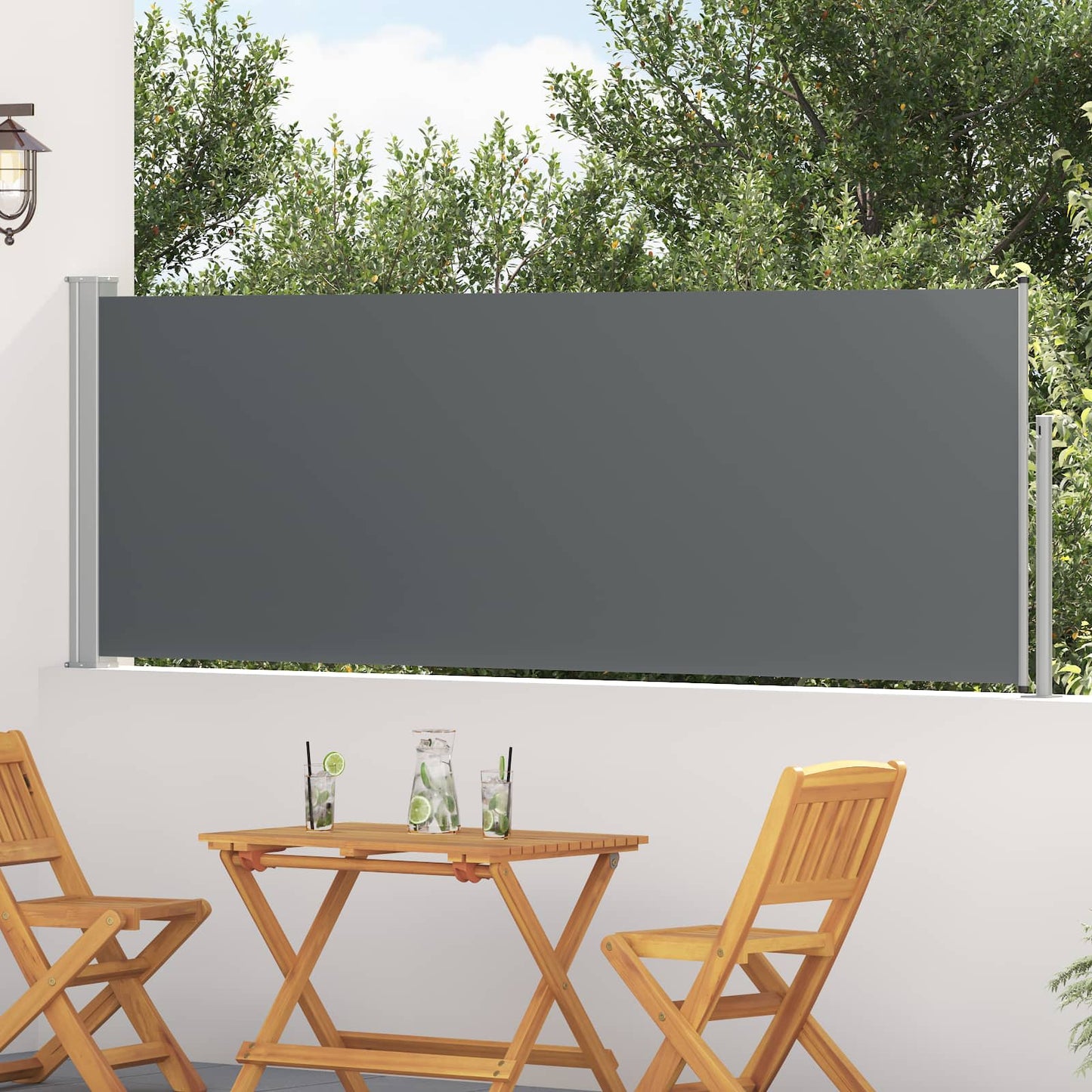 vidaXL Ανακλινόμενος Πλευρικός Απλώστρα 500 x 100 cm Πολυεστέρας