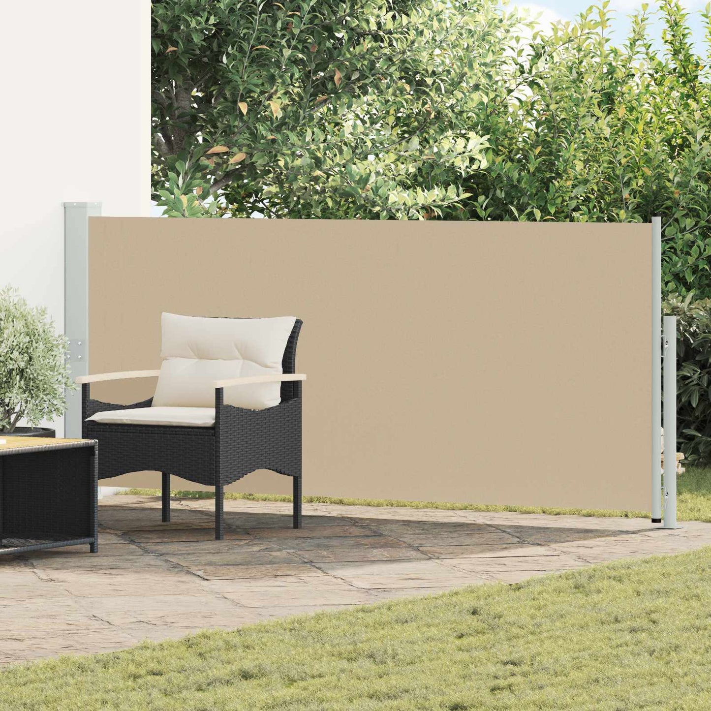 vidaXL Ανακλινόμενος Πλευρικός Απλώστρα 160 x 500 cm Πολυεστέρας