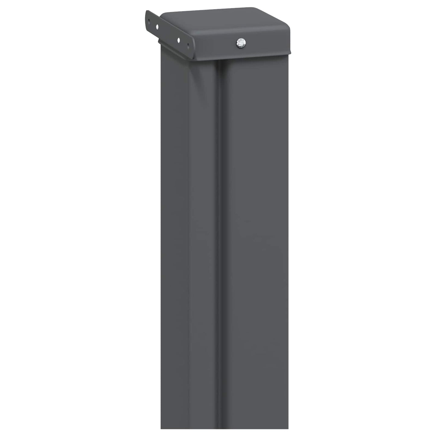 vidaXL Ανακλινόμενος Πλευρικός Απλώστρα 300 x 100 cm Πολυεστέρας