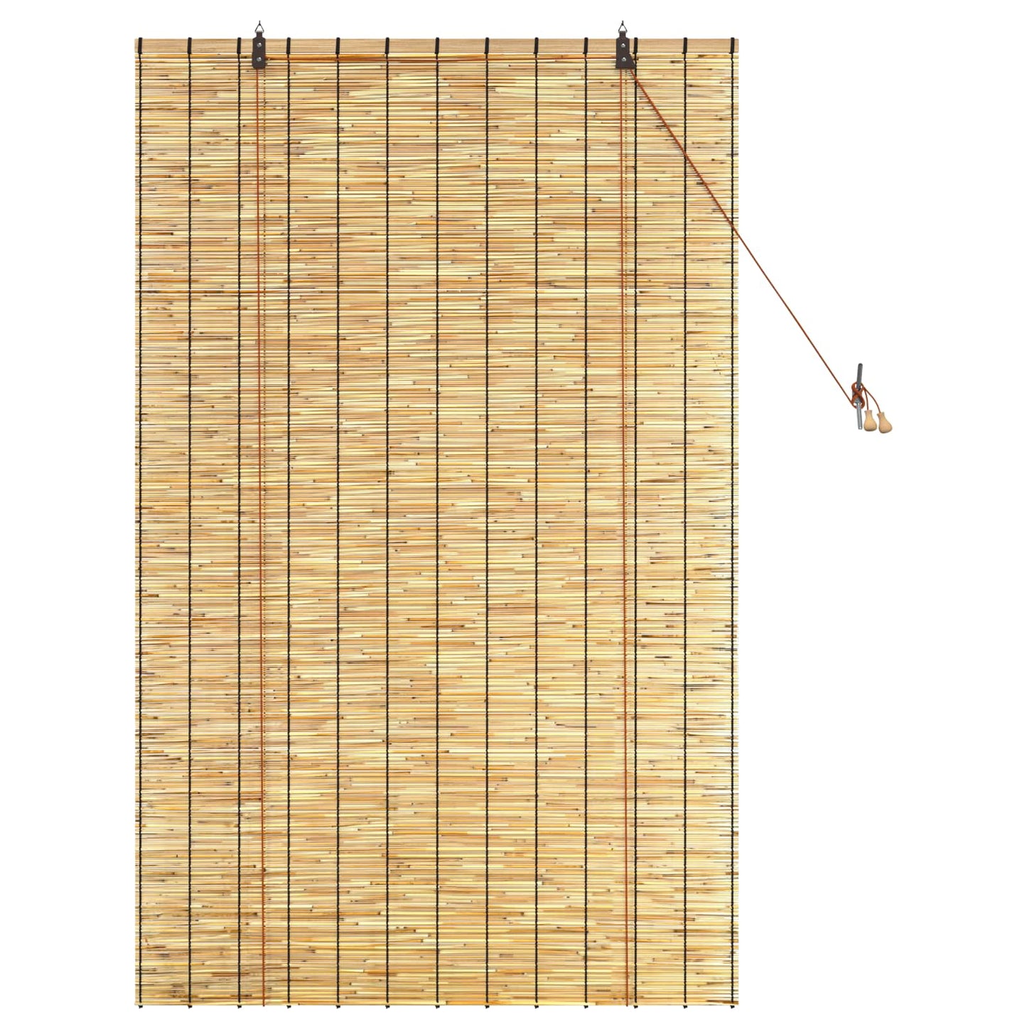 vidaXL Ρόλερ (στόρι) Φυσικό 100 x 160 cm Καλάμι
