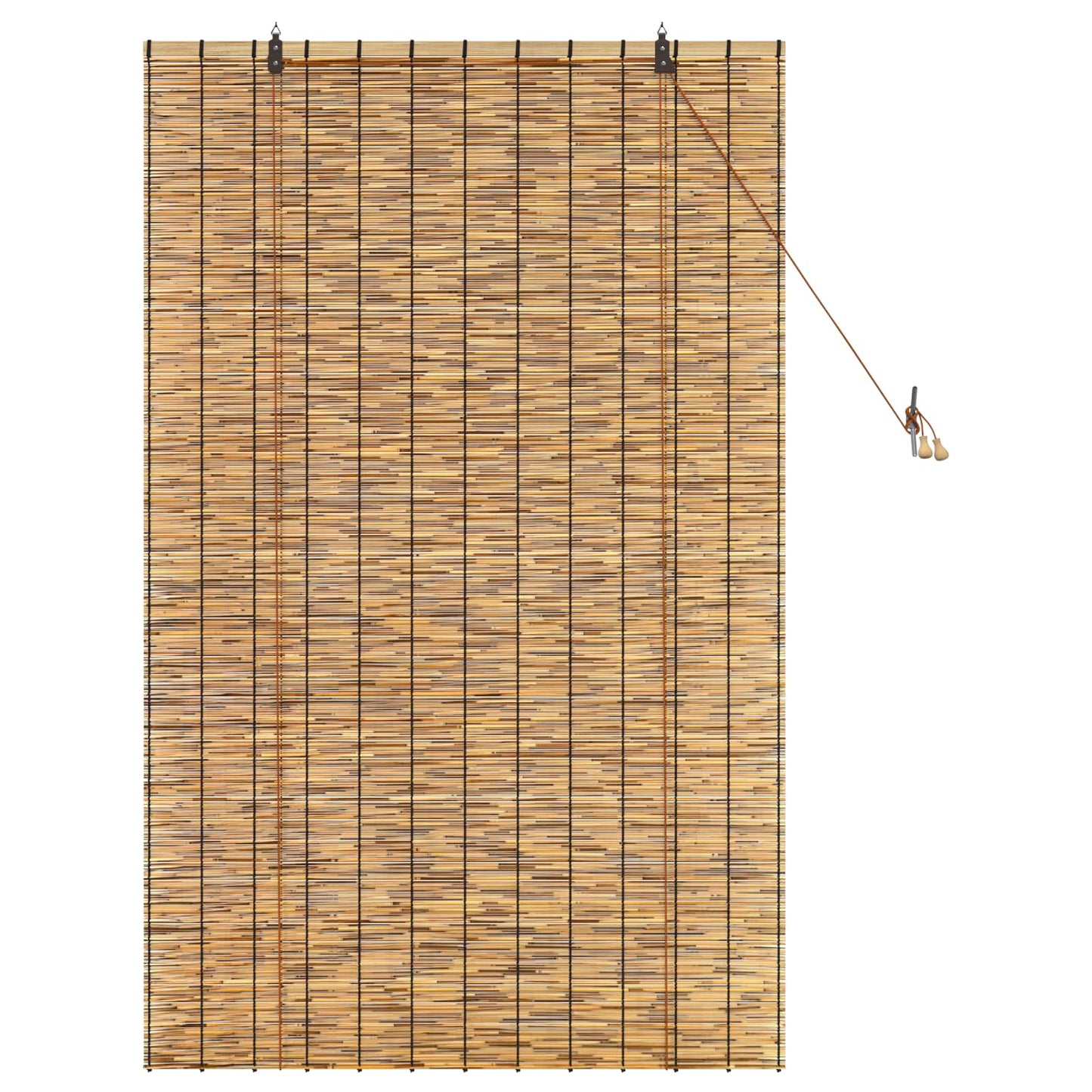 vidaXL Ρόλερ (στόρι) Καφέ 100 x 160 cm Καλάμι