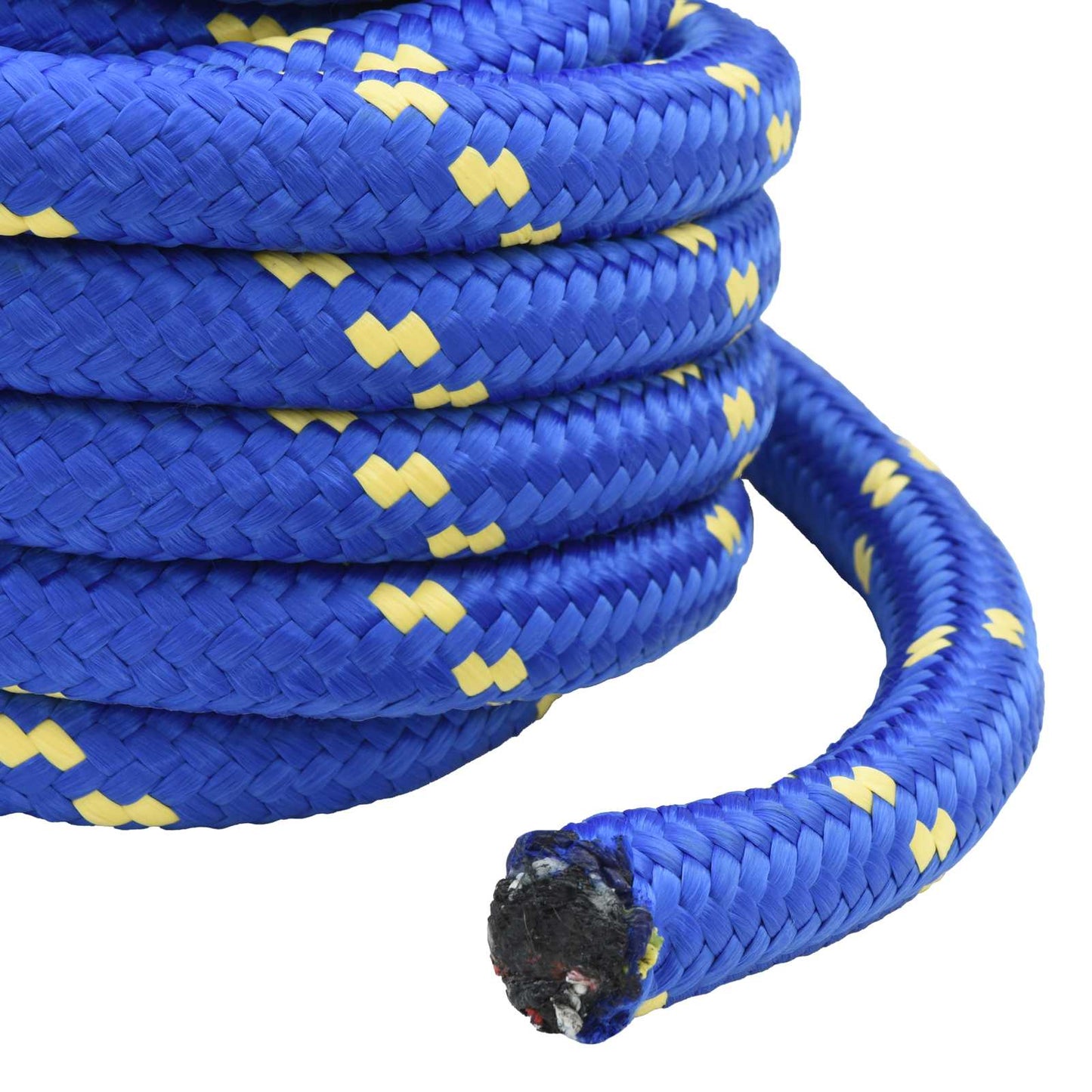 vidaXL Σχοινί Boat 3 mm 25 m Μπλε PP