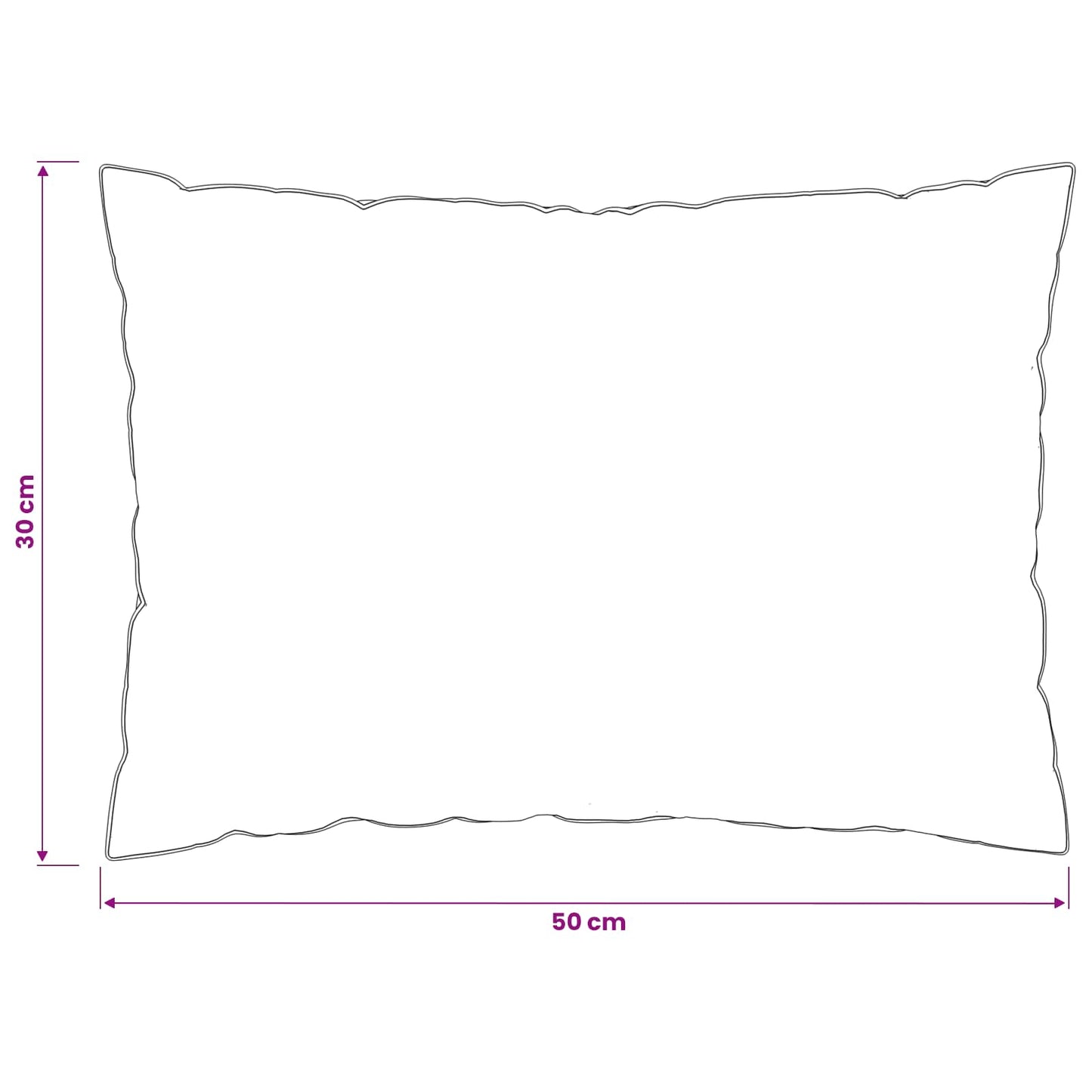 vidaXL Μαξιλάρι FULDA 2 τμχ. 30 x 50 cm 100% Πούπουλο και φτερό χήνας
