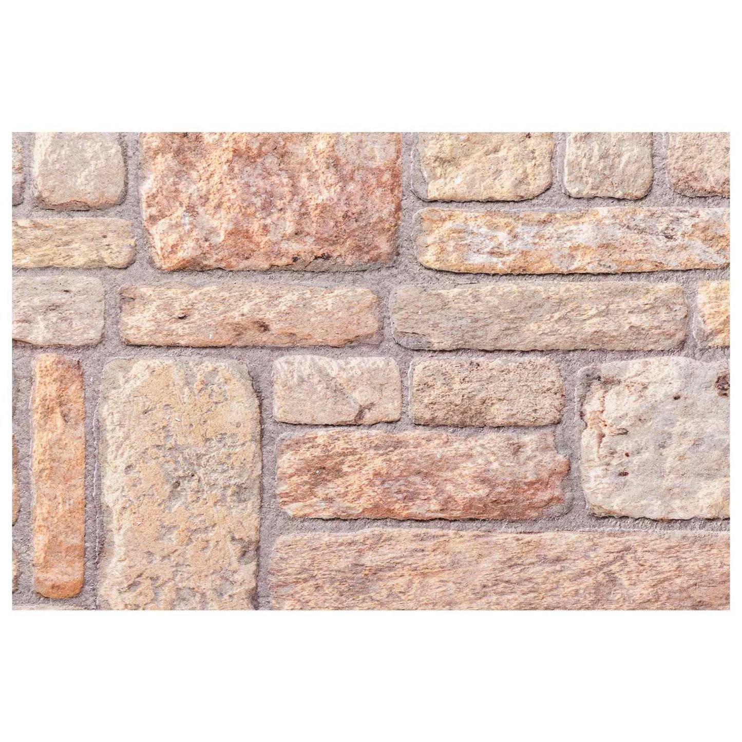 vidaXL Πάνελ τοίχου 10 pcs Ανοιχτό καφέ και Λευκό 100 x 50 cm